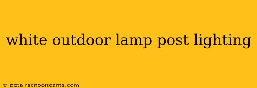 white outdoor lamp post lighting