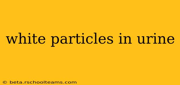 white particles in urine