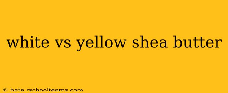 white vs yellow shea butter