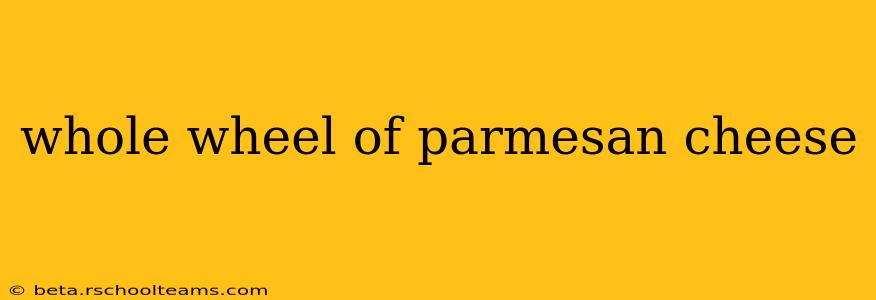whole wheel of parmesan cheese
