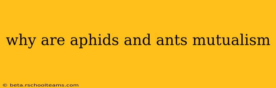 why are aphids and ants mutualism