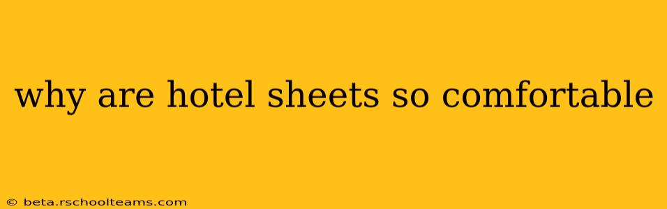 why are hotel sheets so comfortable