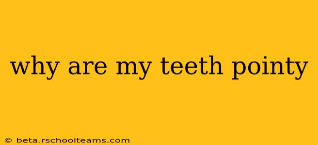 why are my teeth pointy