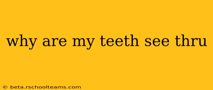 why are my teeth see thru
