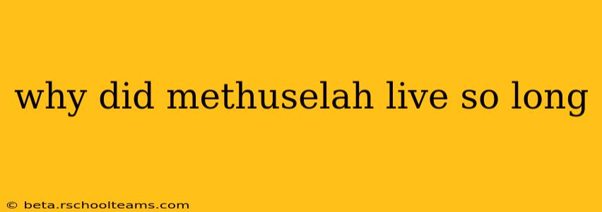 why did methuselah live so long