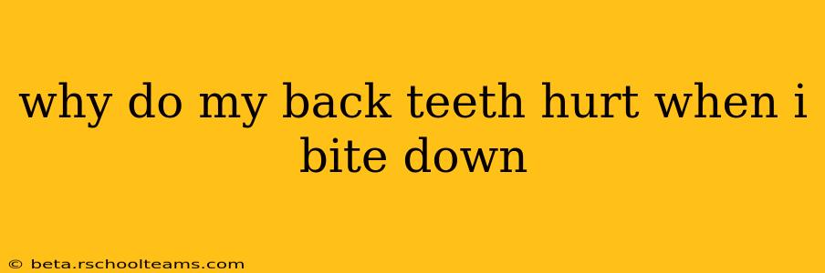 why do my back teeth hurt when i bite down