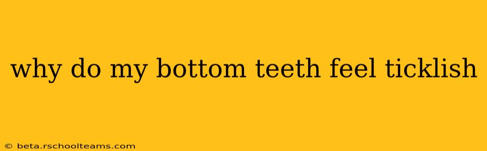 why do my bottom teeth feel ticklish