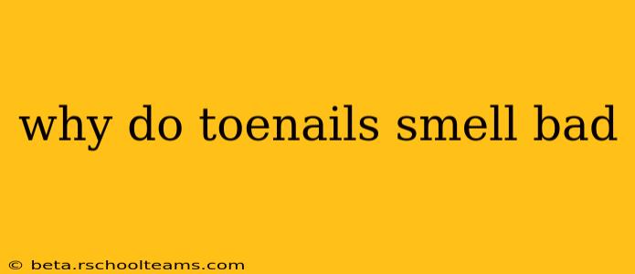 why do toenails smell bad