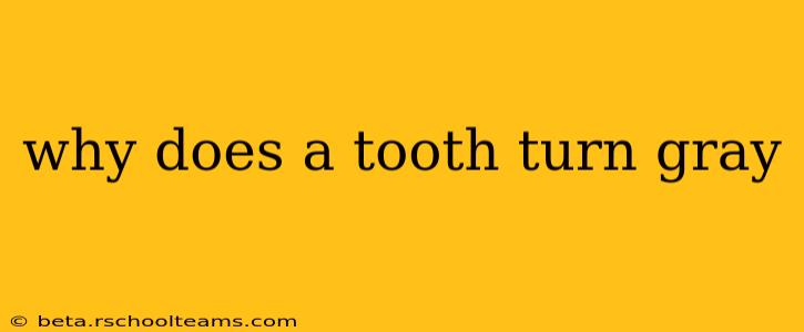 why does a tooth turn gray