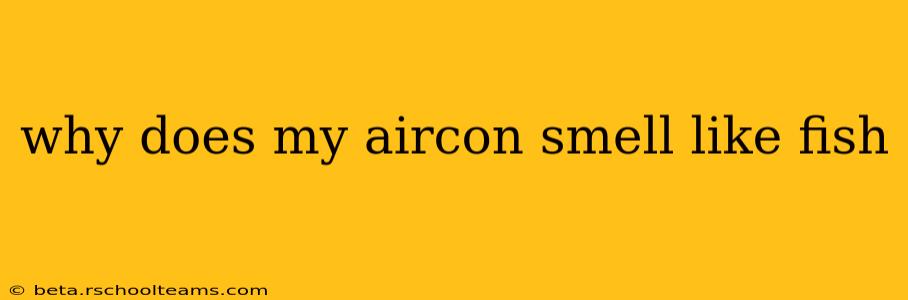 why does my aircon smell like fish
