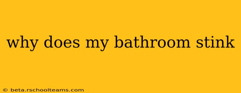 why does my bathroom stink