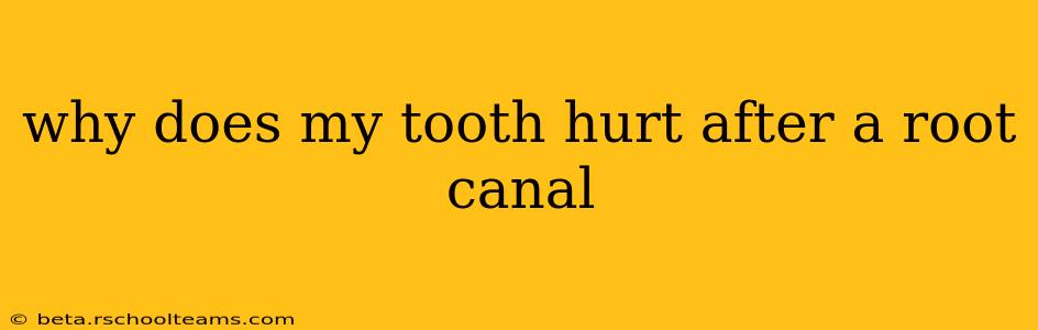 why does my tooth hurt after a root canal