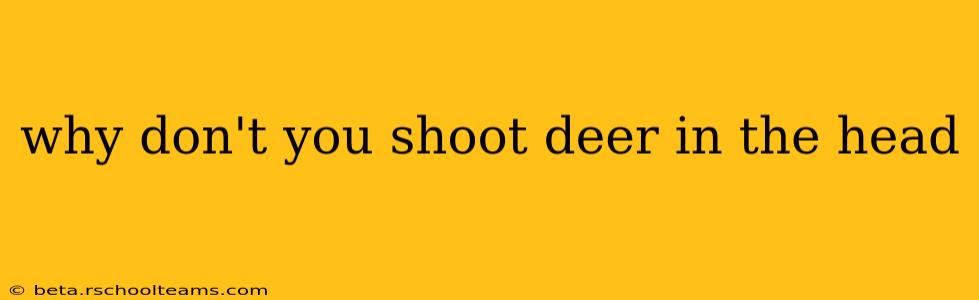 why don't you shoot deer in the head