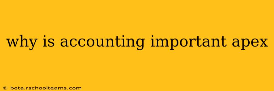 why is accounting important apex