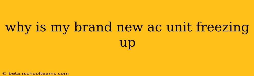 why is my brand new ac unit freezing up
