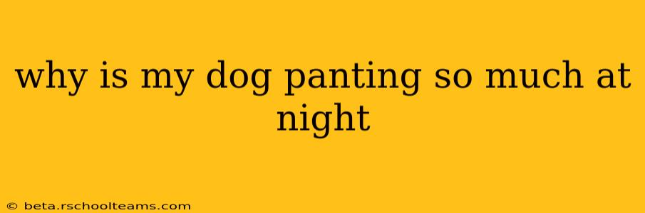 why is my dog panting so much at night