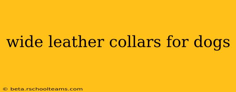 wide leather collars for dogs
