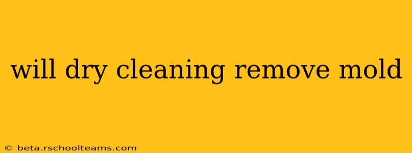 will dry cleaning remove mold