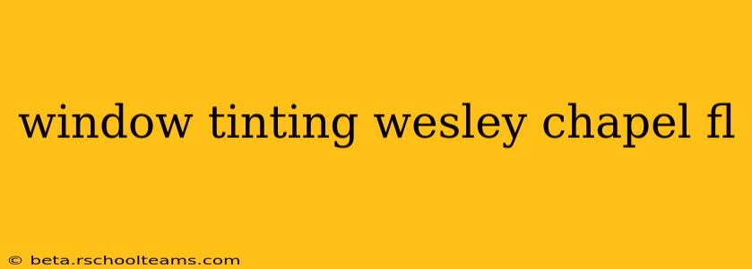 window tinting wesley chapel fl