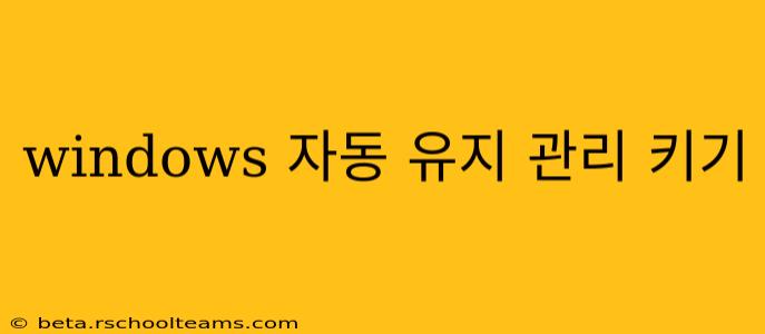 windows 자동 유지 관리 키기