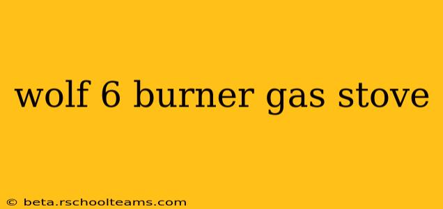 wolf 6 burner gas stove