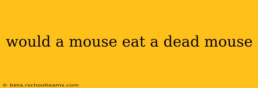 would a mouse eat a dead mouse