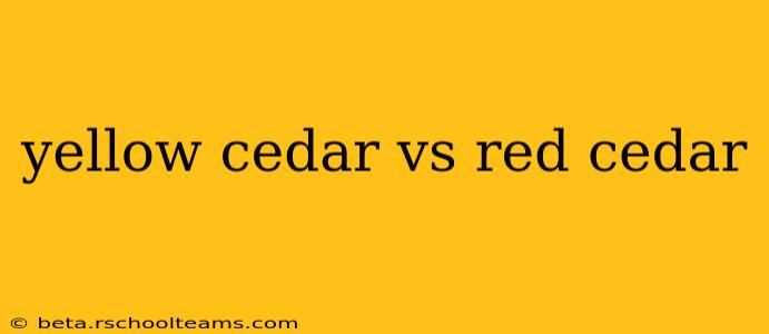 yellow cedar vs red cedar