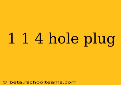 1 1 4 hole plug
