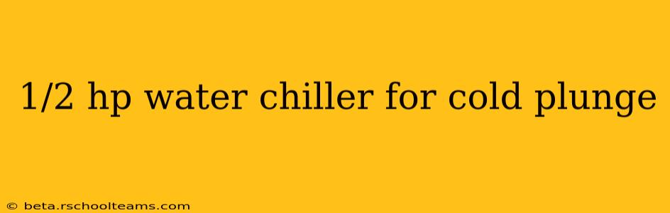 1/2 hp water chiller for cold plunge
