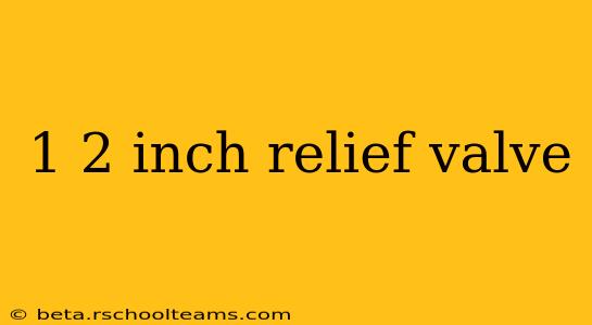 1 2 inch relief valve