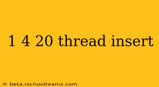 1 4 20 thread insert