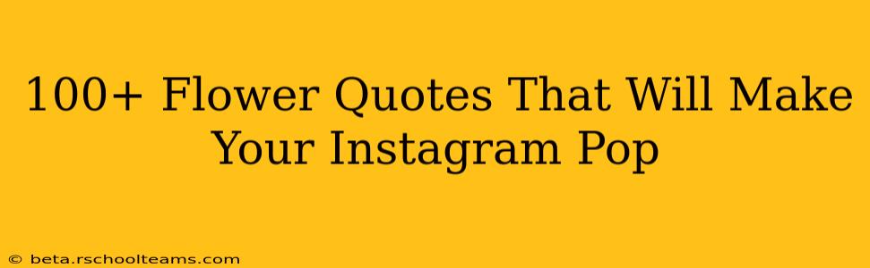 100+ Flower Quotes That Will Make Your Instagram Pop