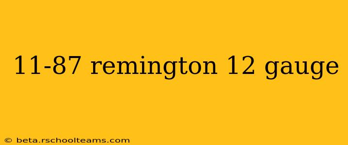 11-87 remington 12 gauge