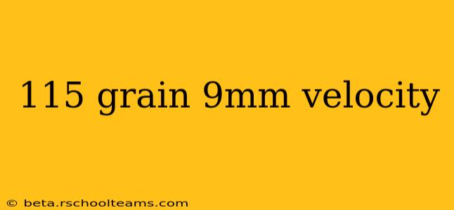 115 grain 9mm velocity