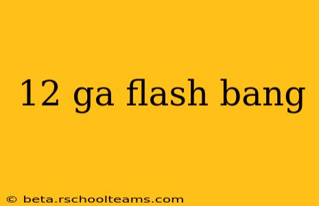 12 ga flash bang