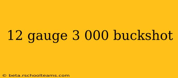 12 gauge 3 000 buckshot