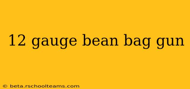 12 gauge bean bag gun