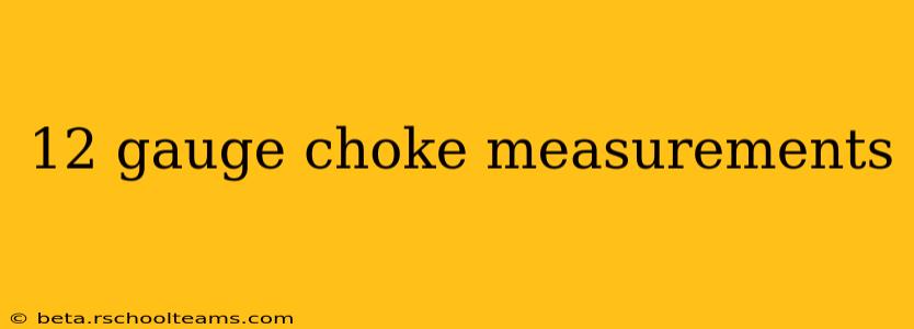 12 gauge choke measurements