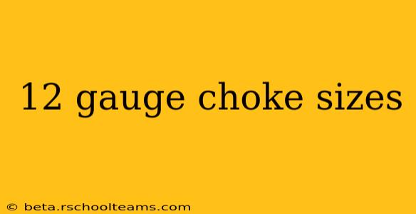 12 gauge choke sizes