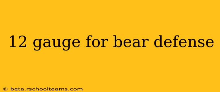 12 gauge for bear defense
