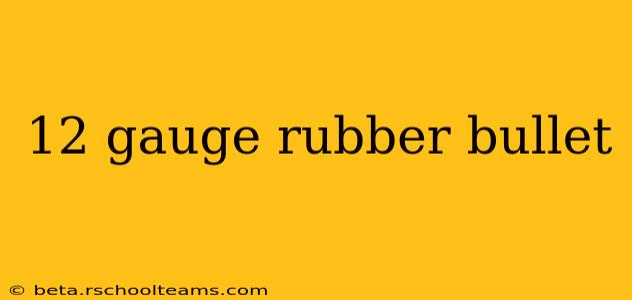 12 gauge rubber bullet