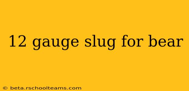 12 gauge slug for bear