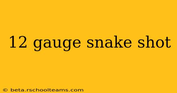 12 gauge snake shot