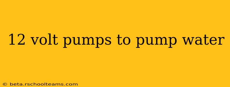 12 volt pumps to pump water