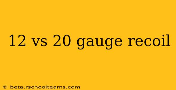 12 vs 20 gauge recoil