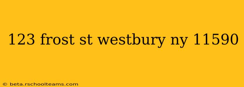 123 frost st westbury ny 11590