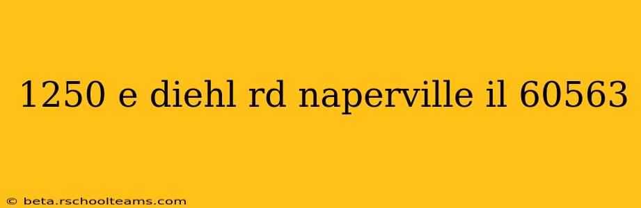 1250 e diehl rd naperville il 60563