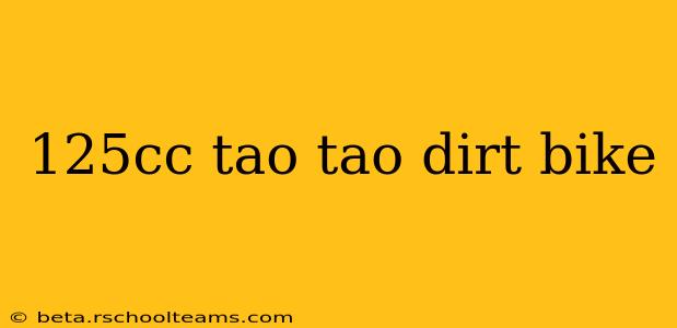 125cc tao tao dirt bike