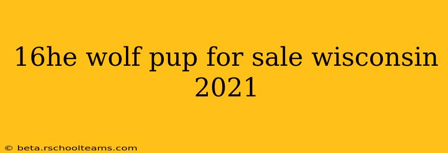 16he wolf pup for sale wisconsin 2021