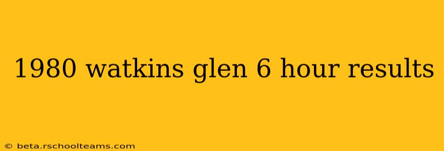 1980 watkins glen 6 hour results